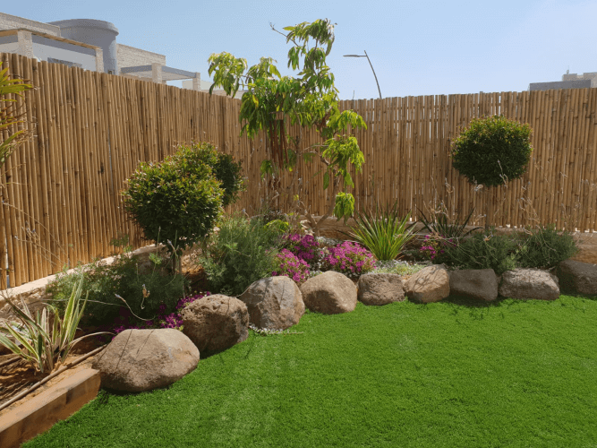 עיצוב גינה 6